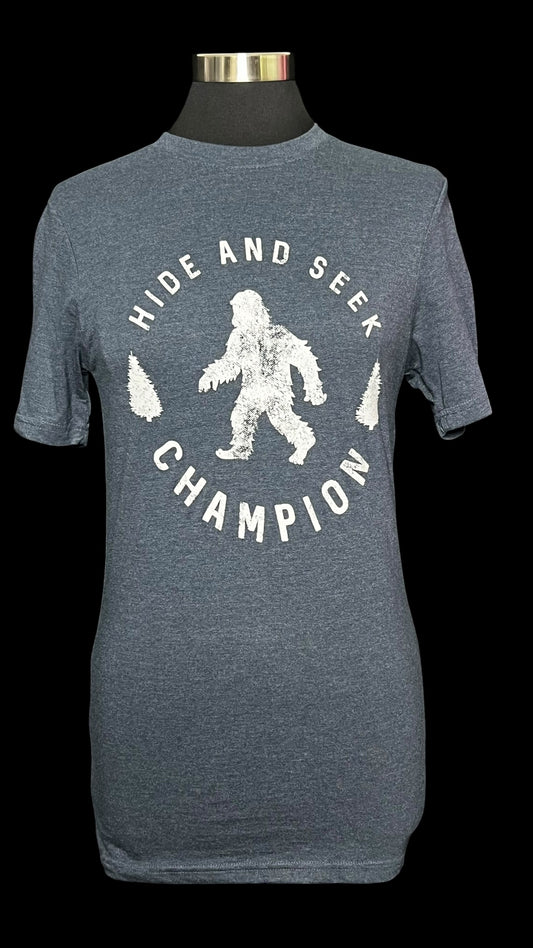08.27 Tops NWOT Hide & Seek Champion Blue Tee (S)