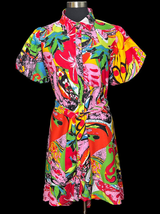 04.03 Dresses Madrag Multicolor/Print (L) Fits (8/10) Slim