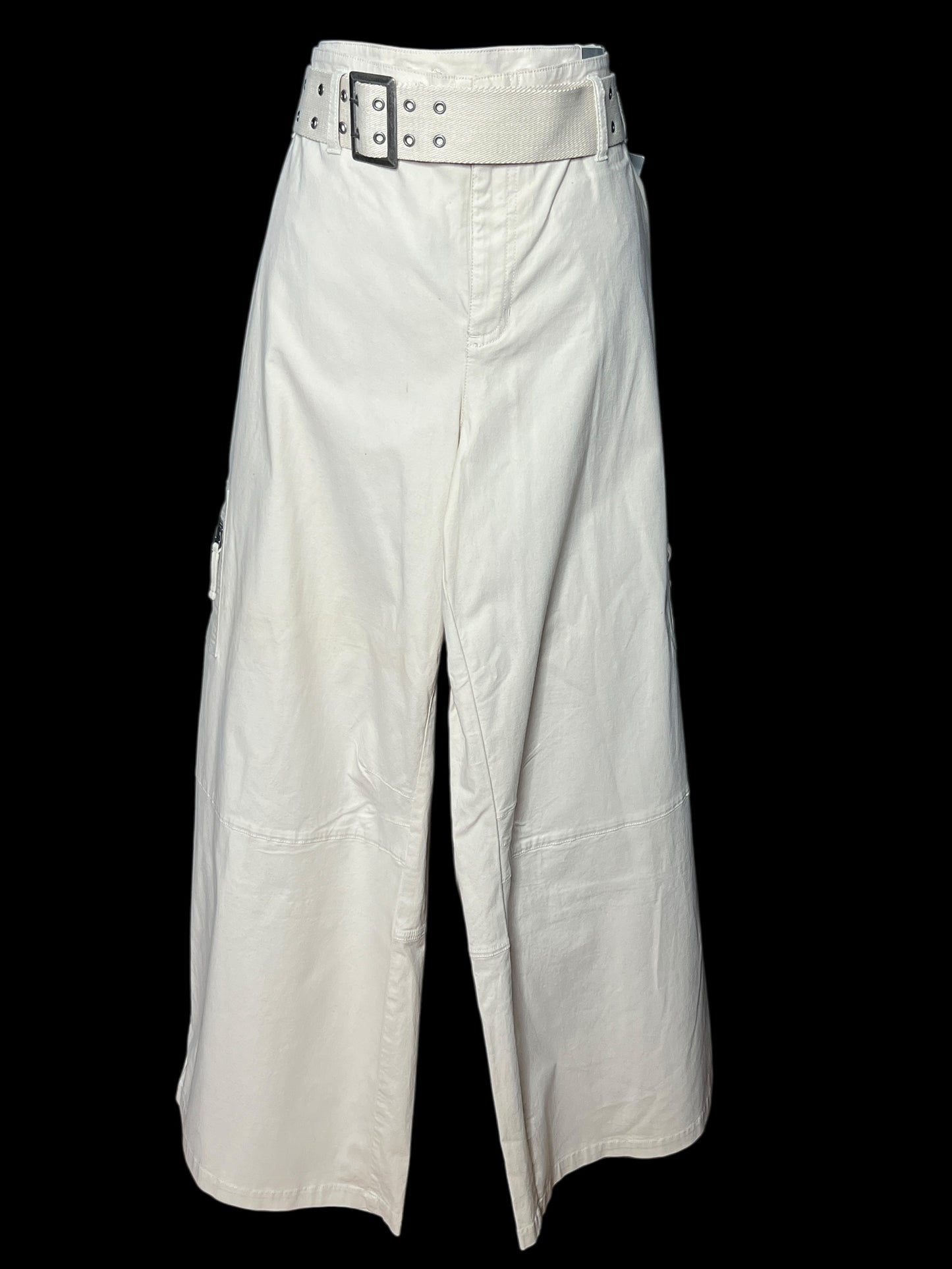 06.21 Pants NEW Lane Bryant Venezia Tan Wide Leg Cargo (24) Fits (22) Cvy