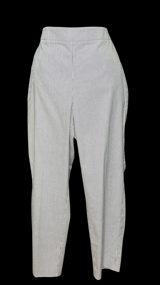 07.14 Pants NWT Talbots Blu/Wht Seersucker (16p) Fits (10)