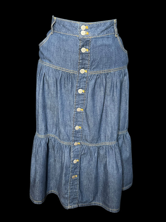 06.21 Skirts Time & Tru Denim Tiered (18) Fits (12/14) Cvy